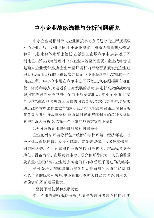 中小企业战略选择与分析问题研究.doc