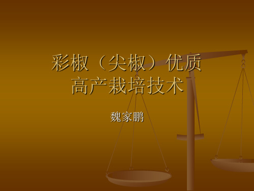 彩椒(尖椒)优质