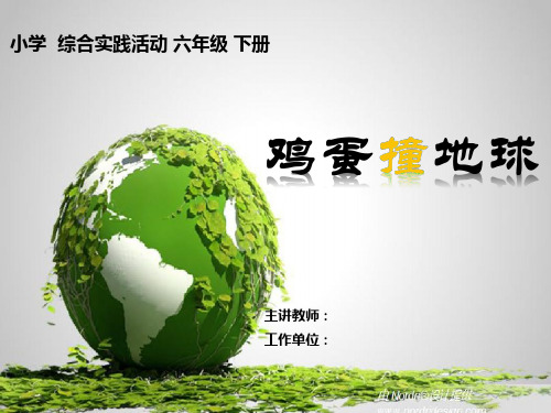 综合实践活动课《鸡蛋撞地球》优质课件