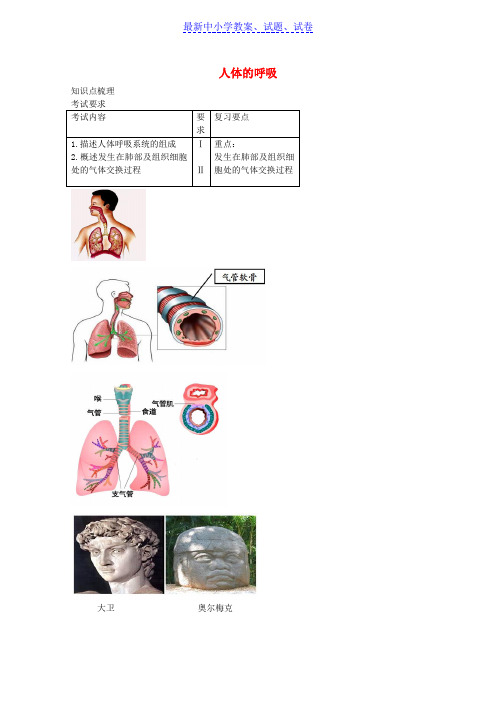 中考生物专题复习九人体的呼吸讲义新人教版