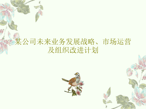 某公司未来业务发展战略、市场运营及组织改进计划共76页文档
