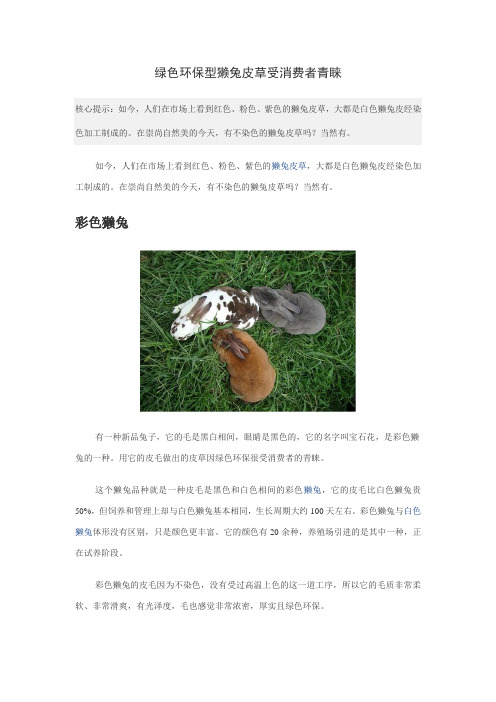 绿色环保型獭兔皮草受消费者青睐