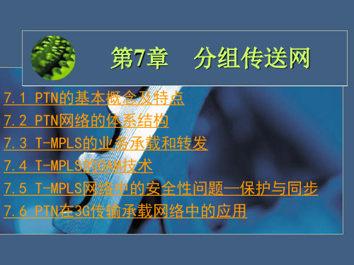 第7章 分组传送网PTN