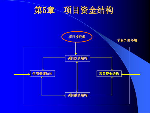 5、项目资金结构
