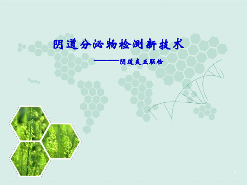 妇科五联检技术
