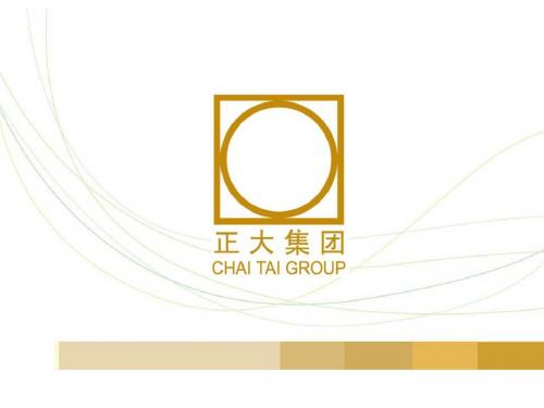 正大集团简介_final优化