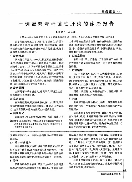 一例蛋鸡弯杆菌性肝炎的诊治报告