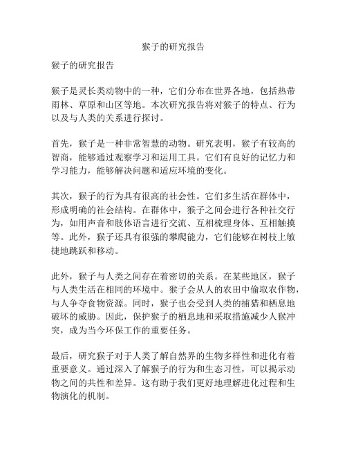 猴子的研究报告