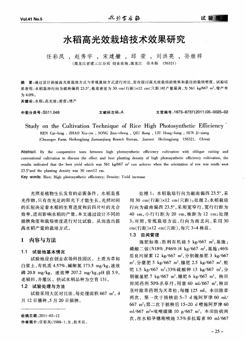 水稻高光效栽培技术效果研究