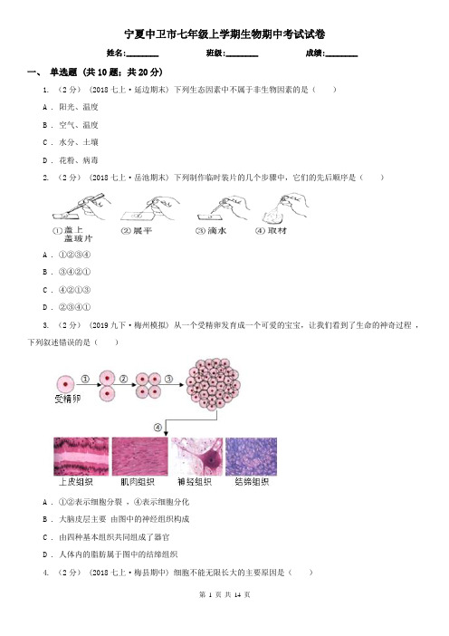 宁夏中卫市七年级上学期生物期中考试试卷