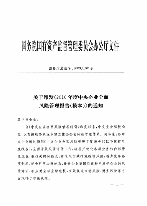 2010年度中央企业全面风险管理报告模板