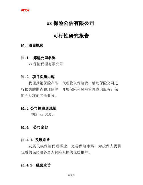 保险公估-可行性研究报告模板