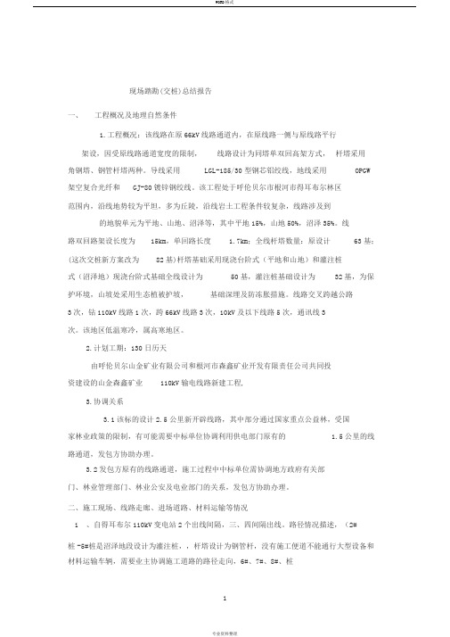 现场踏勘总结报告模板
