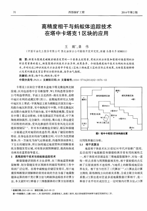 高精度相干与蚂蚁体追踪技术在塔中卡塔克1区块的应用