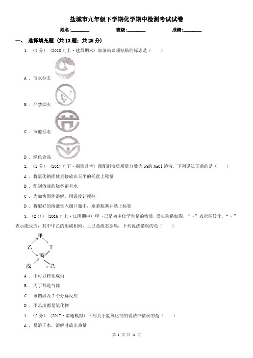 盐城市九年级下学期化学期中检测考试试卷
