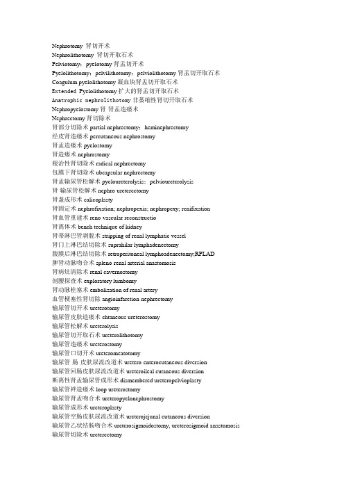 泌尿外科手术名称