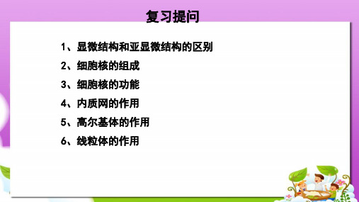 沪科版高中生命科学第一册3.2《细胞核和细胞器》ppt课件3
