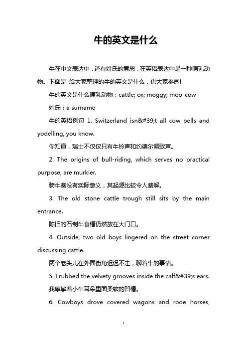 牛的英文是什么
