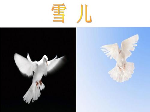5.雪儿