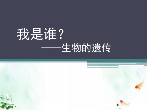 遗传与进化件ppt