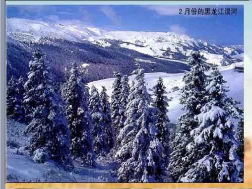 地理：第二节 气候(讲课课件)
