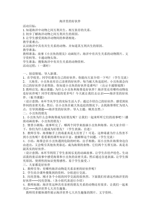 海洋里的好伙伴
