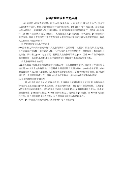 p63在病理诊断中的应用