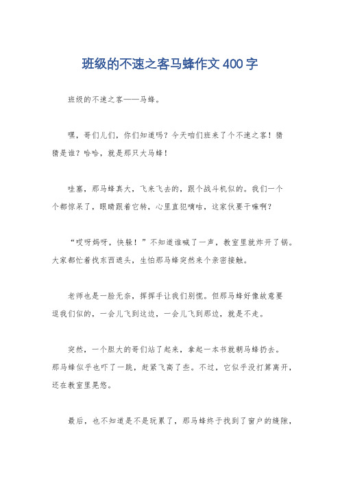 班级的不速之客马蜂作文400字