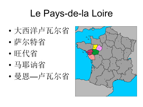 卢瓦尔大区