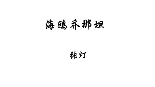 鄂教版七年级上册语文：3 海鸥乔那坦 课件 (3)