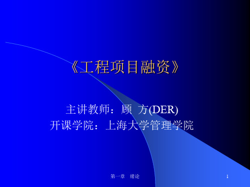工程项目融资 第一章