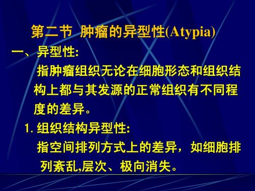肿瘤的异型性(Atypia)