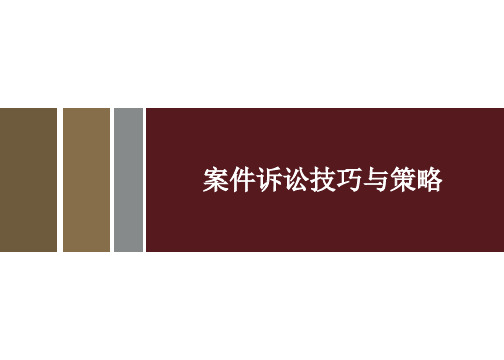 案件诉讼技巧与策略 精品PPT
