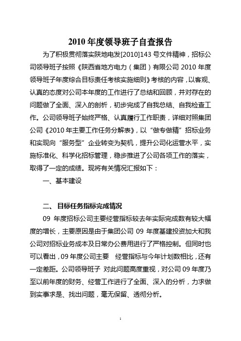 班子自查报告0125(1)