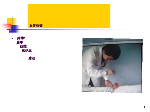 血管检查ppt课件