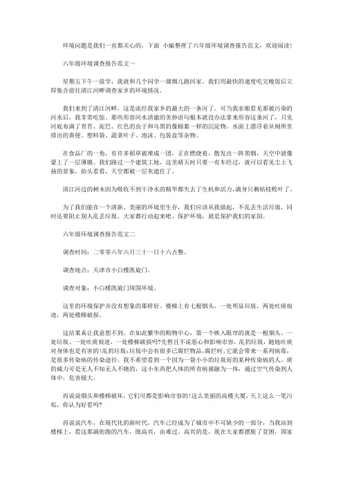 六年级环境调查报告范文【精选】