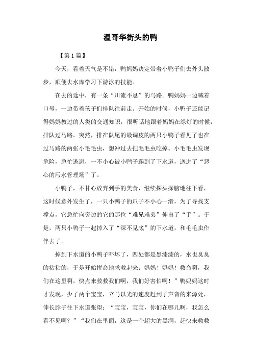 温哥华街头的鸭