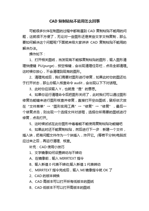 CAD复制粘贴不能用怎么回事