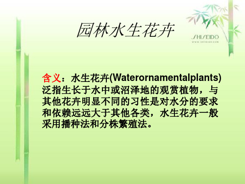第七组——水生花卉