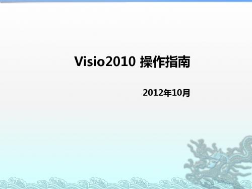 VISIO2010