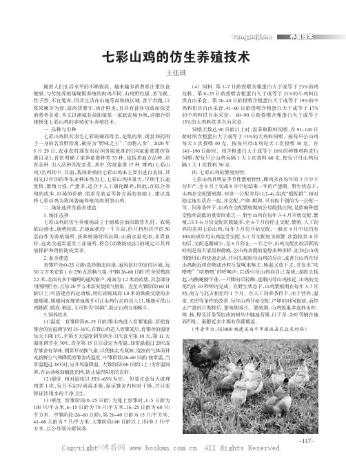 七彩山鸡的仿生养殖技术