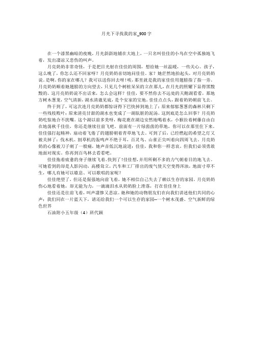 月光下寻找我的家(900字作文)