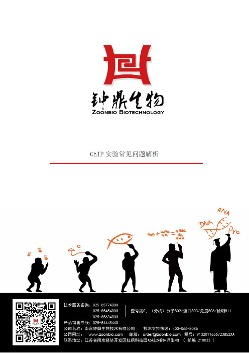 ChIP实验常见问题解析