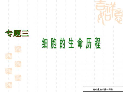 高中生物课件 细胞的生命历程课件(高三生物)