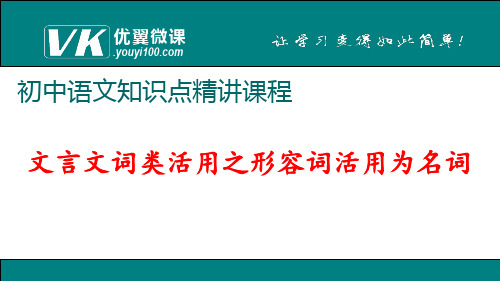 文言文词类活用之形容词活用为名词