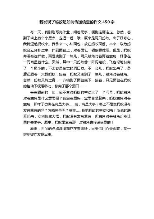 我发现了蚂蚁是如何传递信息的作文450字