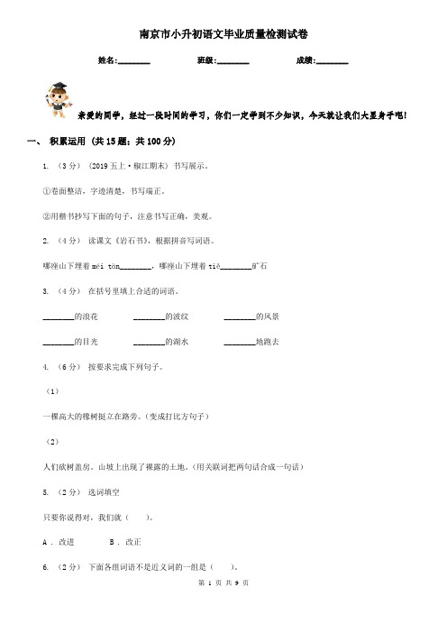 南京市小升初语文毕业质量检测试卷