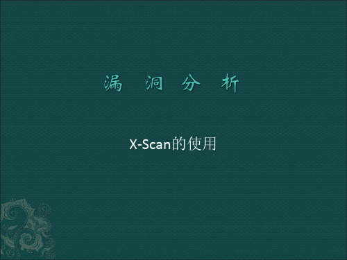 X-Scan