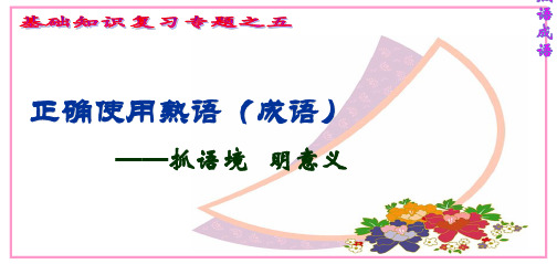 成语熟语的运用详解