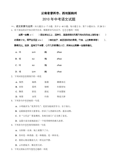 2010年云南省普洱市、西双版纳州中考语文试题及答案